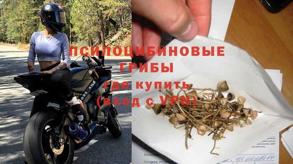 ПСИЛОЦИБИНОВЫЕ ГРИБЫ Абаза