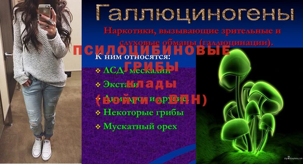 2c-b Абдулино