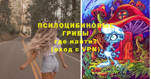 ПСИЛОЦИБИНОВЫЕ ГРИБЫ Абаза