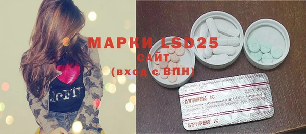 ПСИЛОЦИБИНОВЫЕ ГРИБЫ Абаза